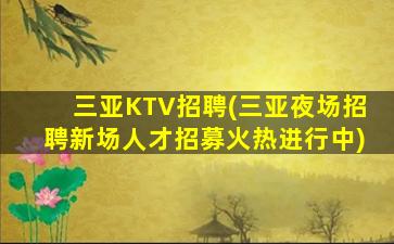 三亚KTV招聘(三亚夜场招聘新场人才招募火热进行中)